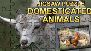 Pasture Friends Jigsaw