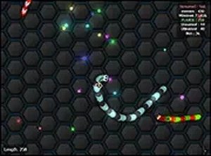 Colorful Worm Chase Arena