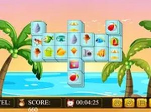 Seaside Pairing Puzzle
