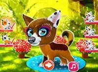 Happy Dog Pet Care Game