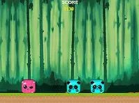 Boxi Box! Online Puzzle Game